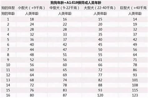 属狗的今年几岁|属狗的今年多大2024 年龄是本命年和本年的年数相加。